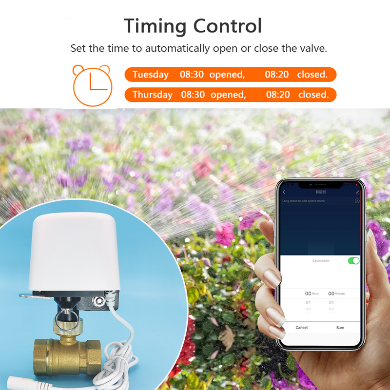 Vanne d'eau intelligente Tuya  - Smart Home Certification avis et prix