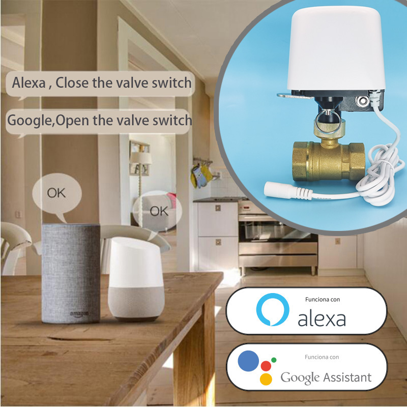 Vanne d'eau intelligente Tuya  - Smart Home Certification avis et prix
